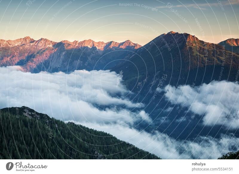 schöne Aussicht auf die Berge bei Sonnenaufgang Kamm Ambitus Nebel Wald Wälder Abenddämmerung Schönheit Himmel übersichtlich blau Gipfel Alpen alpin