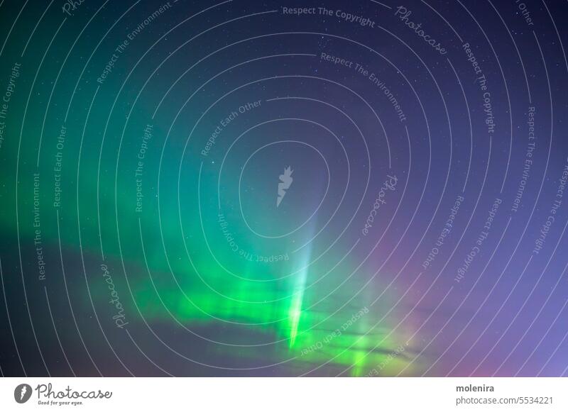 Bunte Aurora borealis am Nachthimmel polar Astronomie nördlich Norden Licht Natur Stern Himmel Nordlicht grün solar Wind leuchten keine Menschen Estland