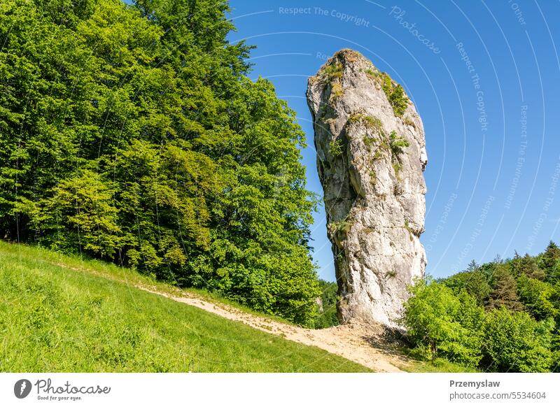 Felsen "Herkuleskeule" in Pieskowa Skala im Ojcow-Nationalpark (Polen) reisen Tourismus Natur malopolska Tag Licht hell farbenfroh im Freien Kalkstein Karst