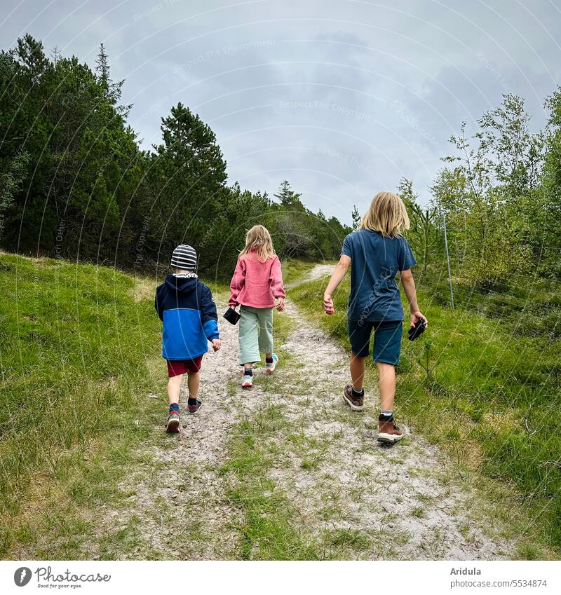 Immer wieder | auf in die Natur! Kinder Kindheit Wald Weg Spaziergang wandern Landschaft Außenaufnahme Wege & Pfade Bäume Waldweg Laufen Rückenansicht Erholung