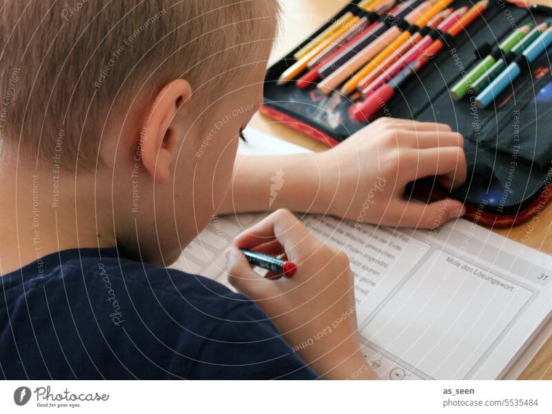 Hausaufgaben Junge Stift von hinten Seitenansicht Etui Heft Stifte Mäppchen Bildung lernen Kindheit schreiben Schule Konzentration Homeschooling zuhause