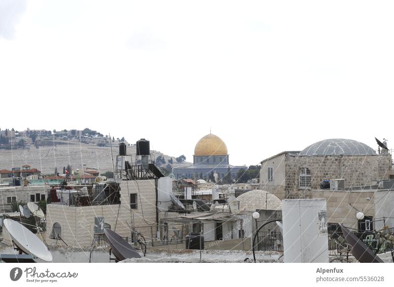 immer wieder | Konflikte Tote Krieg Verletzte Trauer Wut Rache Jerusalem Palästina Israel Tempelberg Felsendom Ost-Jerusalem Religion & Glaube Judentum
