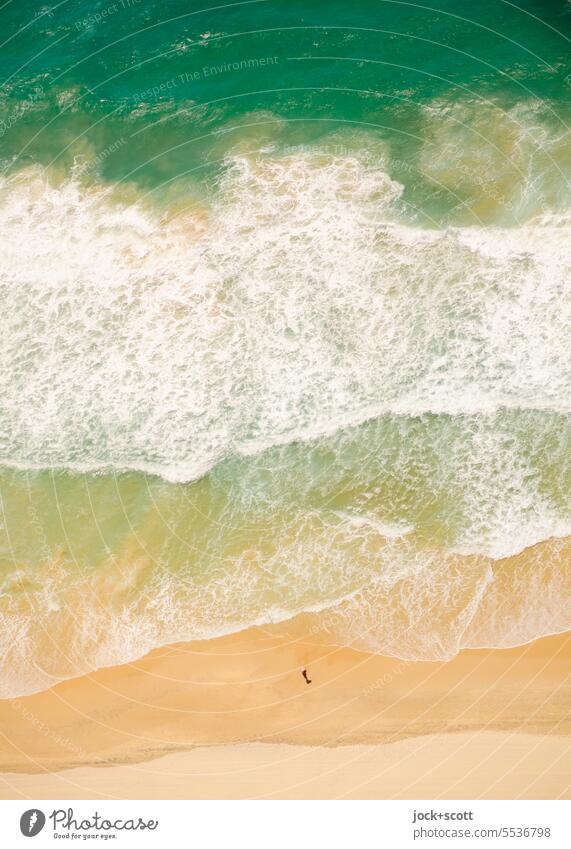 sonniger Tag am Meer Strandläufer Natur Küste Ferien & Urlaub & Reisen Erholung Pazifik Vogelperspektive Hintergrundbild Australien Gold Coast Klima