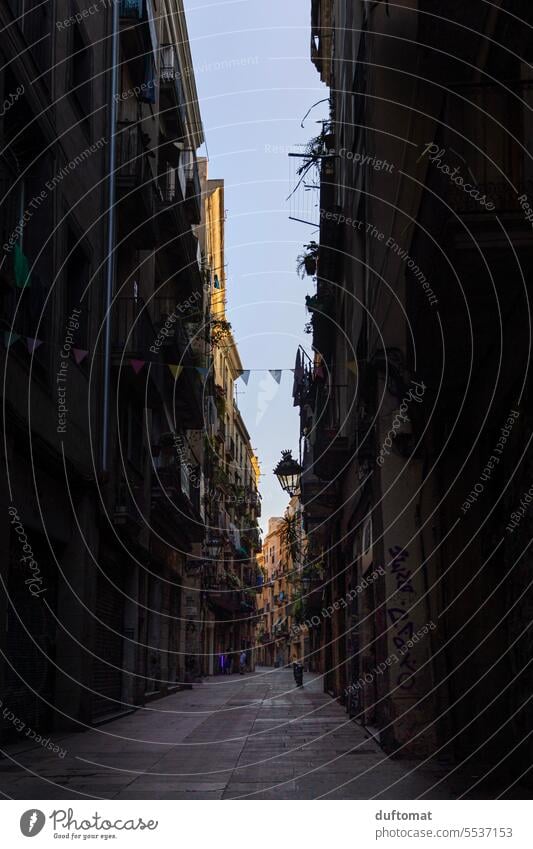 Morgendliche Gasse im Barri Gòtic, Barcelona, Spanien Altstadt dunkel Kontrast High Key gassenromantik Straße Außenaufnahme Stadt Fassade Menschenleer alt