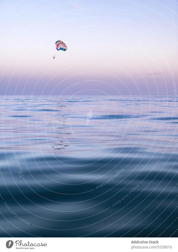 Fallschirmspringer bei Sonnenuntergang über dem ruhigen Meer Flug Küste Fallschirmspringen hoch Sport Natur Abenteuer extrem Fliege Menschen Rippeln Freizeit