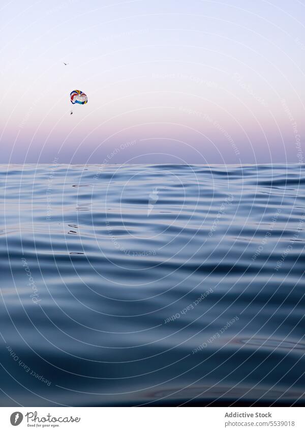Fallschirmspringer bei Sonnenuntergang über dem ruhigen Meer Flug Küste Fallschirmspringen hoch Sport Natur Abenteuer extrem Fliege Menschen Rippeln Freizeit