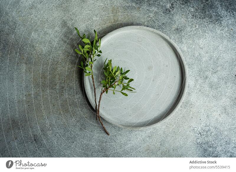 Tischdekoration mit frischer Pistazienpflanze Teller Dekor dienen Geschirr Essgeschirr Ordnung Dekoration & Verzierung Utensil Keramik Anlass kreativ
