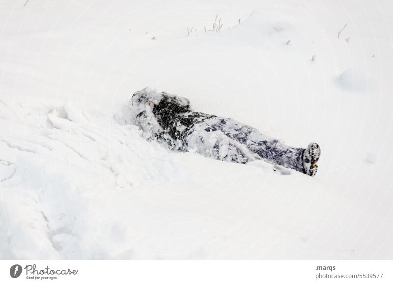 Fund liegen Ganzkörperaufnahme Schnee Winter 1 Erwachsene Mensch kalt Tod Frost Eis erfrieren schneebedeckt Unfall Leiche