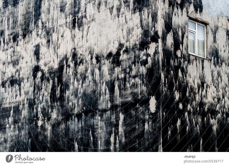 Fassade mit Fenster Wand alt versteckt schwarz dreckig Verfall außergewöhnlich Gebäude Architektur Einsamkeit Sehnsucht