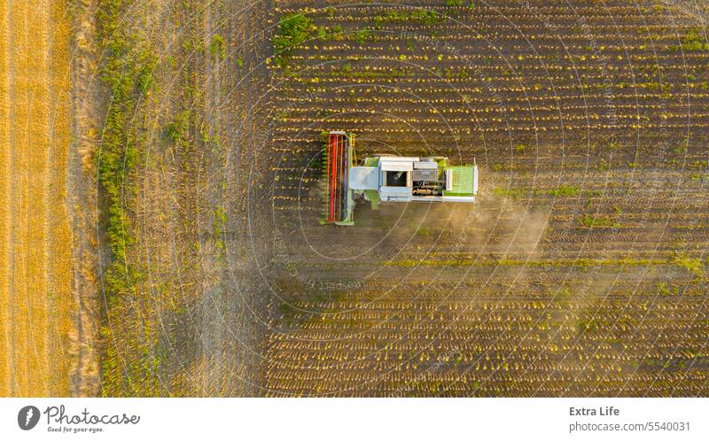 Draufsicht auf Mähdrescher, Erntemaschine, erntereife Sonnenblume oben Antenne Ackerbau Müsli Land kultiviert Bodenbearbeitung geschnitten Staubwischen staubig