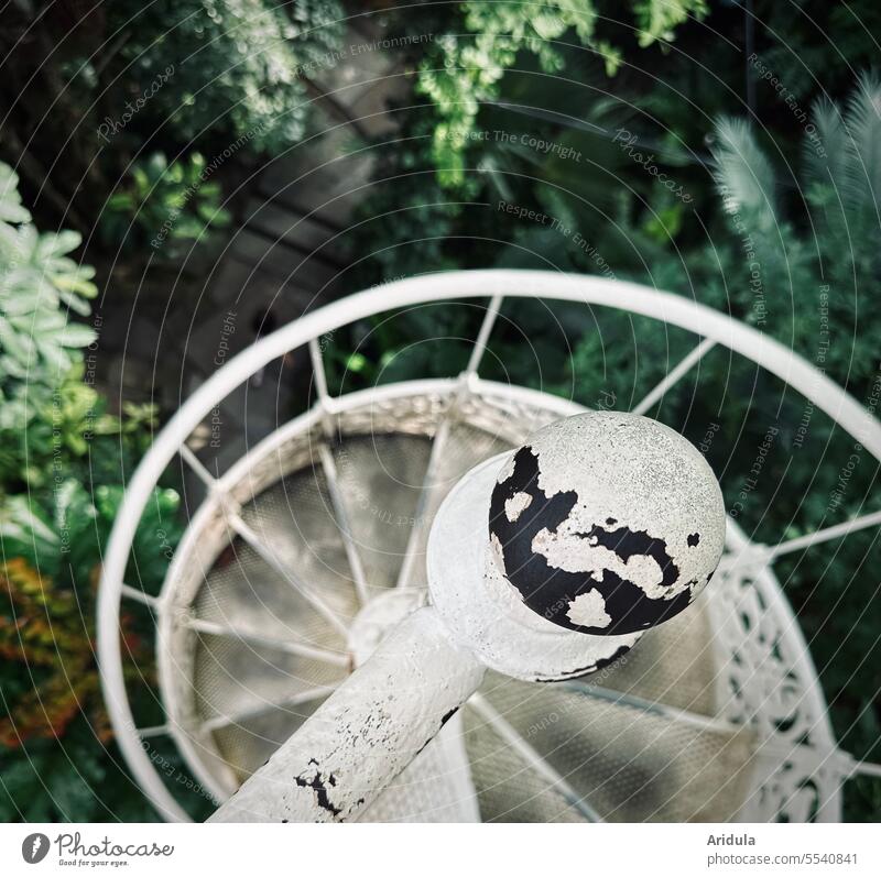 Schmale weiße Wendeltreppe in einem Tropenhaus Treppe Pflanzen Grünpflanzen Gewächshaus hoch Vogelperspektive runter Webdeltreppe alt Eisen abwärts Geländer