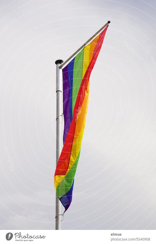 Regenbogenflagge an einem Mast Regenbogenfarben Regenbogenfahne Fahnenmast Flaggenmast Symbol wehen LGBT LGBTIQ LGBTIQ-Szene Stolz Toleranz Vielfalt Offenheit