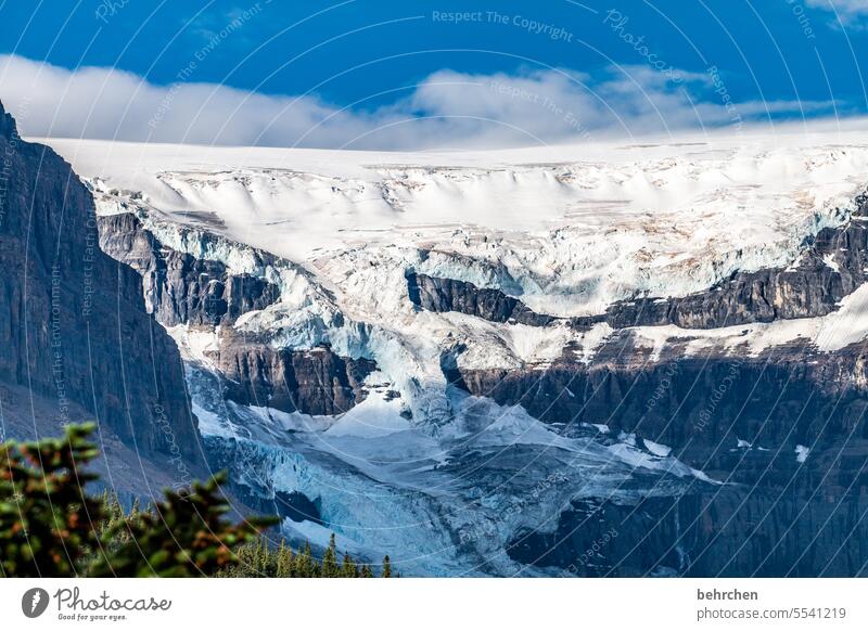 schnee und eis Kälte Klimaschutz Klimawandel Eis kalt beeindruckend Umwelt Umweltschutz Banff National Park Icefield Parkway Gletscher Athabasca Glacier