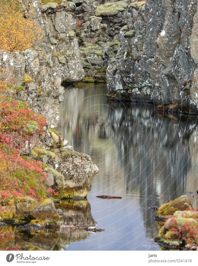 Sille Wasser im Nationalpark Pingveilir in Island Idylle Herbst Herbststimmung Berg Versteck See Landschaft Außenaufnahme Farbfoto Natur herbstlich Jahreszeiten