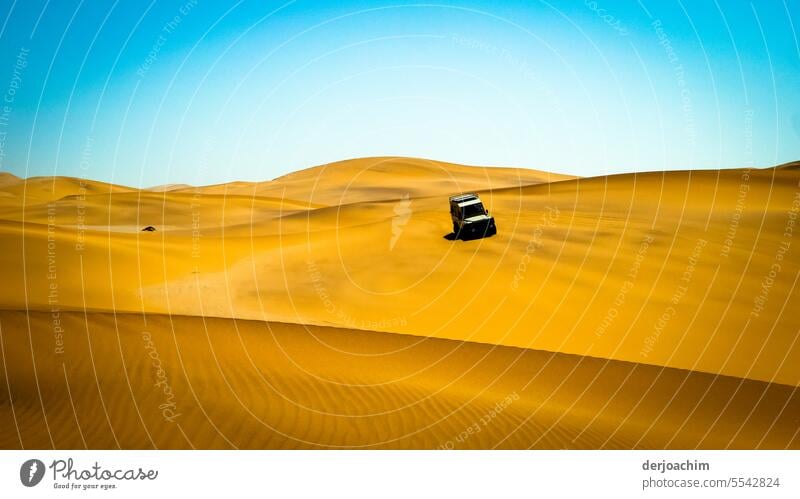 Spannende Fahrt durch die Wüste. wüstensand Landschaft Außenaufnahme Sommer Farbfoto Düne Natur Sonnenlicht wüstenlandschaft Sand Menschenleer sandig Sandbank