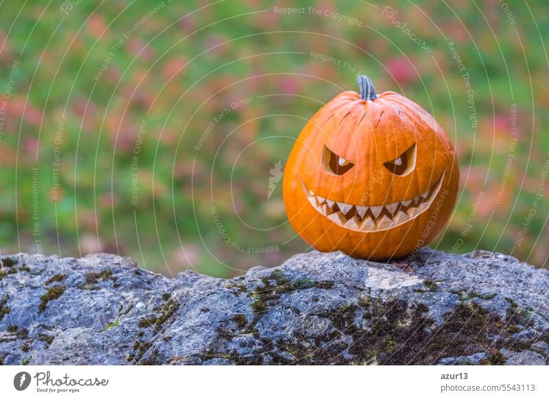 Scary lächelnd halloween Kürbis mit bösen Gesicht auf einem Stein. Große gruselige lächelnde halloween Kürbis mit Dämon Lächeln sitzen allein in der Dämmerung Natur. Spooky Alptraum Geheimnis Szene auf ocober 31st