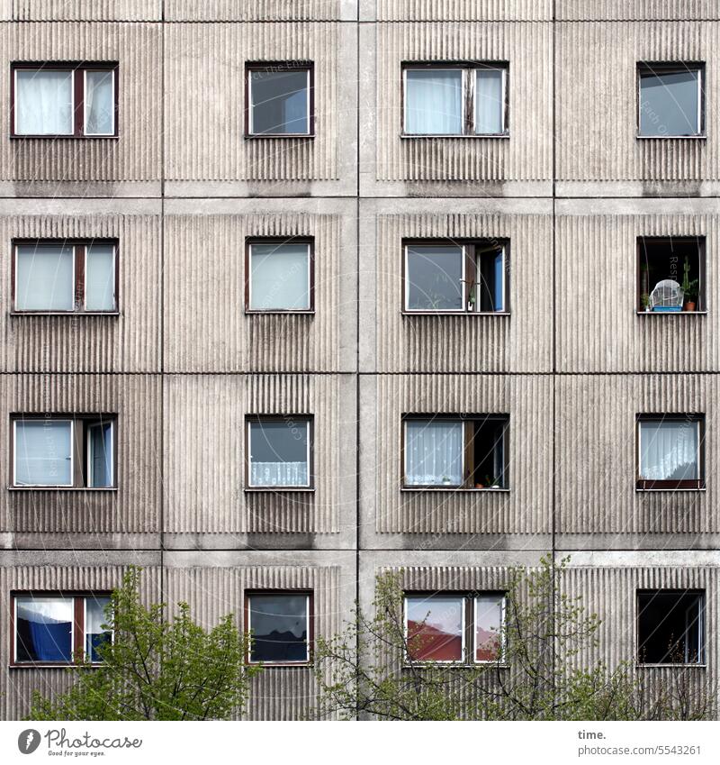 Parallelwelt | gleich & anders Haus Fenster wohnen Mietswohnungen ähnlich Fassade Bäume grau einheitlich Bauwerk Architektur Hochhaus Etagenwohnungen trist