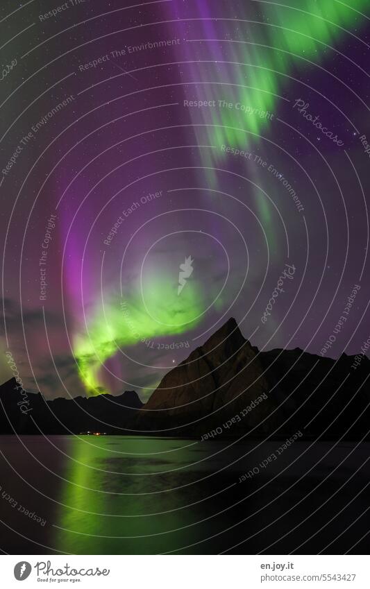 Polarlichter über Reine Nordlicht aurora borealis Lofoten Norwegen Naturphänomen Reinefjorden Aurora Nacht dunkel Erscheinung Nachtaufnahme leuchten Licht grün