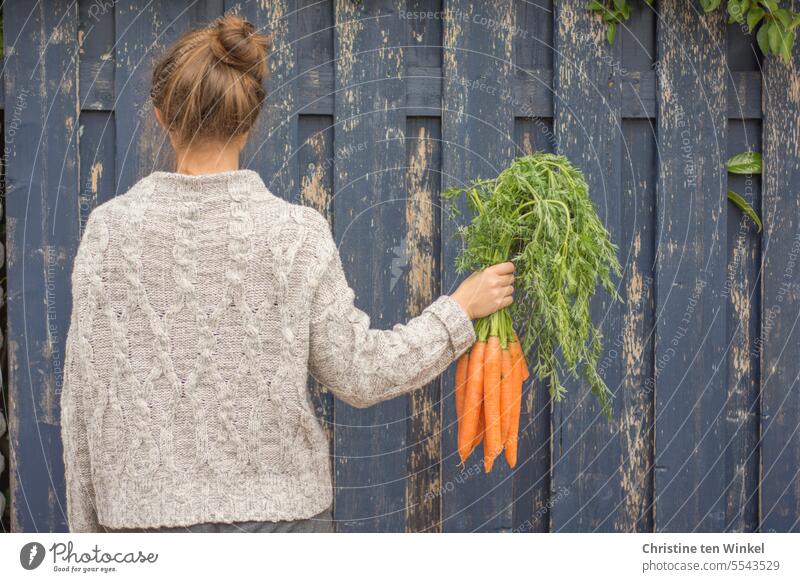 hilfreich | vitaminreiche Rohkost für die Gesundheit Möhren Gemüse Lebensmittel Karotten Vegetarische Ernährung Bioprodukte Jugendliche Junge Frau feminin 1