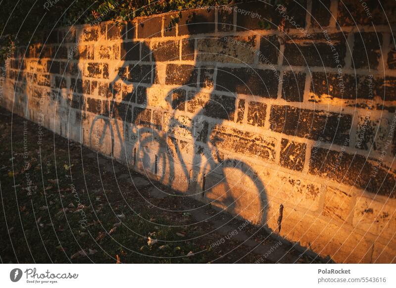 #A0# Fahrrad-Tour Fahrradfahren Fahrradtour Fahrradweg Fahrradfahrer Fahrräder Schatten Schattenwurf draußen draußen sein sportlich aktivität Natur