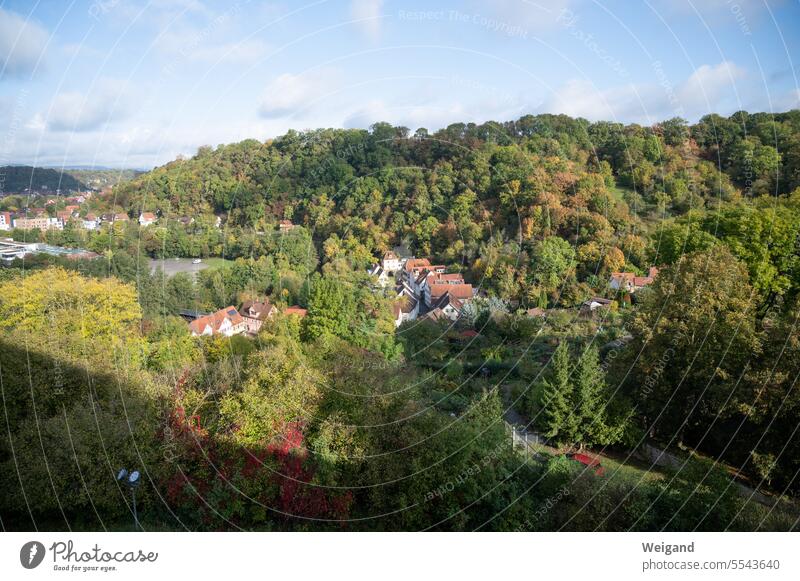 Blick aus der Vogelperspektive von der Comburg in Schwäbisch Hall über die Bäume und Dächer des Stadtteils Steinbach auf den dahinter liegenden Wald unter blauem Himmel