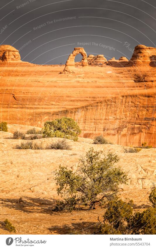 Der filigrane Arch im Arches National Park, Utah USA Delicate Arch Landschaft malerisch wüst Nationalpark Bogen Moab Bögen Spaziergang farbenfroh reisen Erosion