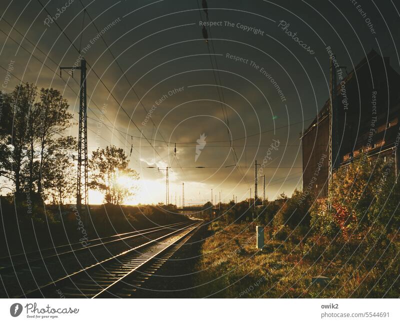 Gleis 2 Gleise Eisenbahn Bahngelände Schienen Leitungen Kabel Böschung Sträucher Masten Gegenlicht Sonnenuntergang Sonnenlicht Abendstimmung strahlend leuchten