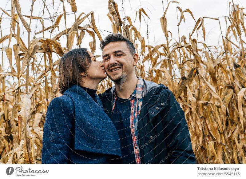 Eine Frau küsst einen Mann auf die Wange während eines romantischen Spaziergangs in einem Kornfeld Küssen Glück Lächeln Stehen Herbst Paar Zuneigung Liebe