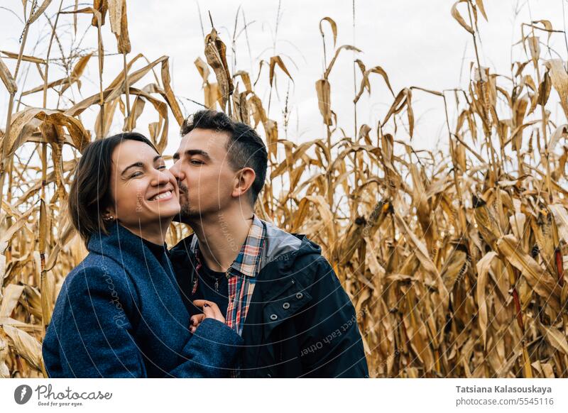 Ein Mann küsst eine glückliche Frau auf die Wange, während er im Herbst außerhalb der Stadt durch ein Kornfeld spaziert Küssen Glück Lächeln Stehen Paar