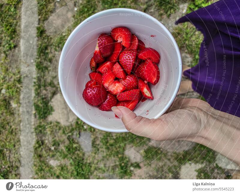 Hand mit einer Schale Erdbeeren rot Ernte Erdbeerfeld Frucht Sommer fruchtig Beeren pflücken frisch erdbeeren Schalen & Schüsseln Arme Essen