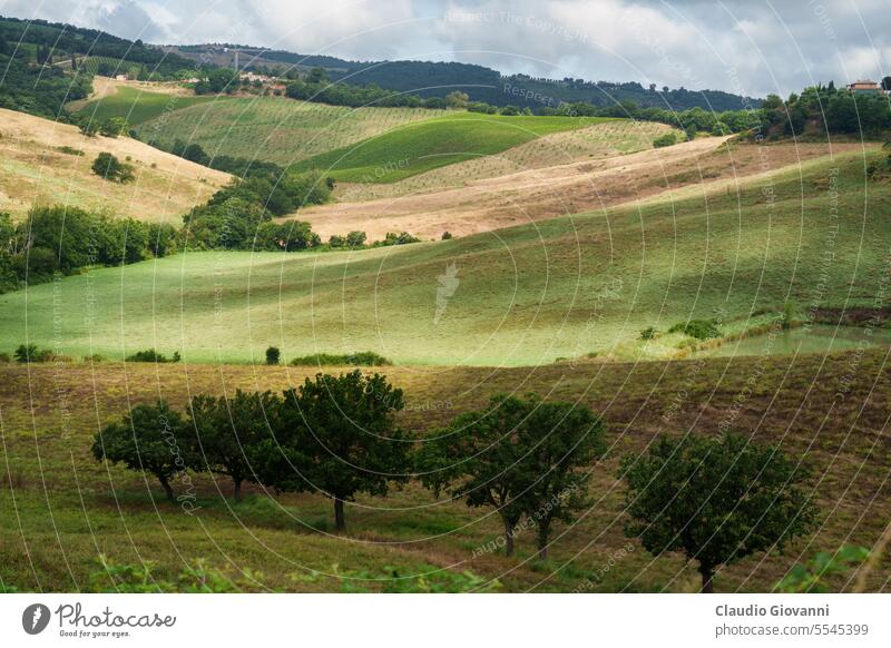 Ländliche Landschaft in der Toskana bei Torrita di Siena Europa Italien Montefollonico Ackerbau Farbe Tag Hügel Natur Fotografie ländlich Sommer reisen