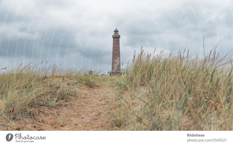 Leuchtturm in den Dünen Küste Natur Landschaft Farbfoto Außenaufnahme Himmel Menschenleer Tourismus Wahrzeichen Sehenswürdigkeit Reiseziel Nordsee Wolken Tag