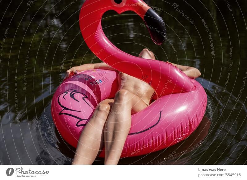 Ein nacktes Mädchen nimmt ein Sonnenbad auf einem rosa Flamingo. Das dunkle Wasser umgibt sie und sie fühlt sich entspannt und sexy in ihrer Haut. Ein heißer Tag mit einer noch heißeren gebräunten Schönheit. Dies ist definitiv eine Poolparty, die einen Besuch wert ist.