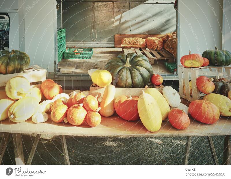 Gemüsemarkt Marktstand Kürbisse Herbstbeginn Vielfalt farbenfroh mehrfarbig natürlich grün orange Rottöne viele gelb dekorativ herbstlich saisonbedingt