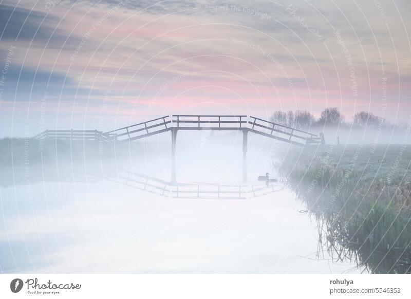 Ente und Holzbrücke im dichten Nebel in der Morgendämmerung Vogel Brücke hölzern Fahrradfahren Wasser Fluss Kanal Sonnenaufgang früh Himmel rosa blau ruhig