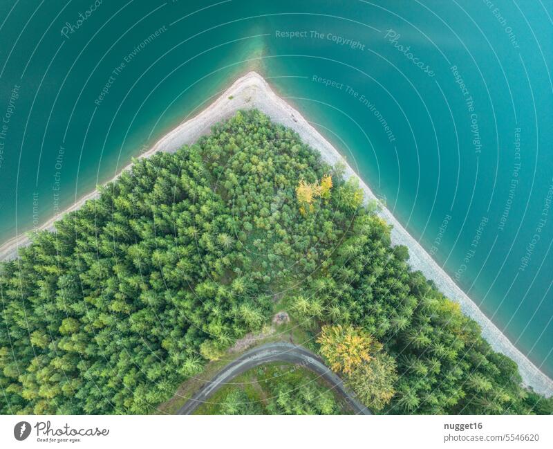 spitze, bewaldete Landzunge am See Wasser Halbinsel Luftaufnahme Drohne Wald Nadelwald Bäume Weg Wanderweg Luftbild von oben Thüringen Thüringer Wald Talsperre