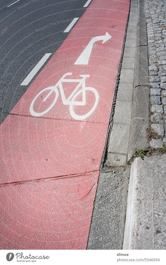 hilfreich I mit einem Fahrrad - Piktogramm und einem Richtungspfeil gekennzeichneter roter Radweg Fahrradweg Straßenmarkierung Radfahren Wege & Pfade StVO