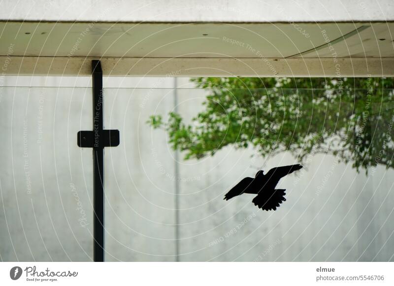 schwarzer Aufkleber eines Raubvogels an der Scheibe eines Buswartehäuschens / Tierschutzmaßnahme Silhouette Vogelschutz Vogelschutzaufkleber Flugbild