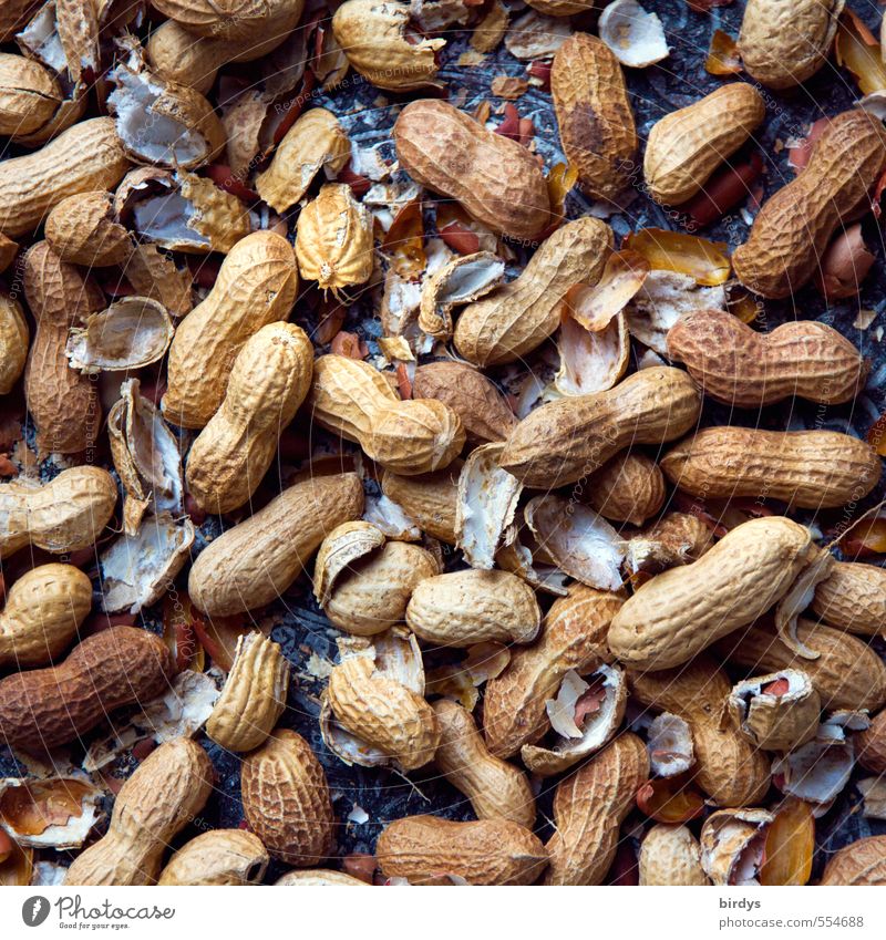 Kann Spuren von Nüssen enthalten Lebensmittel Nuss Erdnuss Nussschale Ernährung Bioprodukte authentisch Gesundheit lecker positiv gefräßig genießen