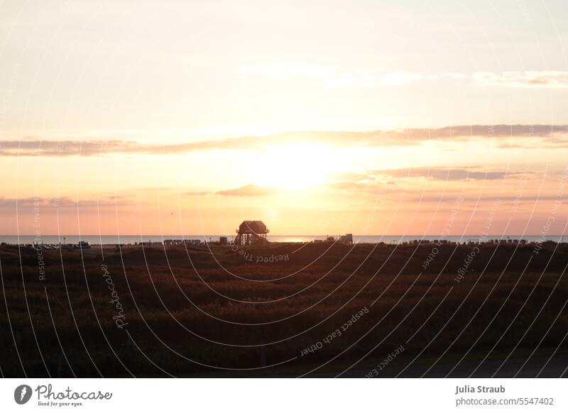 Pfahlbauten an der Nordsee im Abendlicht Nordseeküste Sonnenuntergang Warmes Licht warm schöne stimmung Urlaubsstimmung urlaubsziel Küste Meer St. Peter-Ording