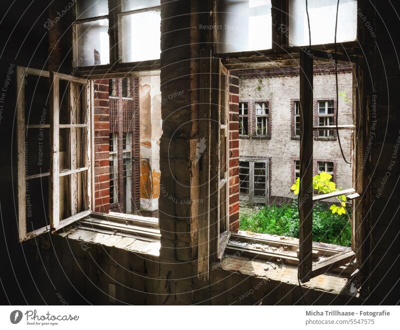 Offene Fenster in einem verfallenen Haus Gebäude lost places Fensterrahmen alt Verfall Vergänglichkeit Wandel & Veränderung Vergangenheit Zahn der Zeit
