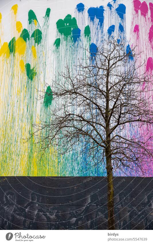 Baum ohne Blätter vor einer mit Farbbeuteln beworfenen Wand Farbe mehrfarbig Farbflecken Fassade Farbverlauf Graffiti Straßenkunst Kreativität unbelaubt bunt