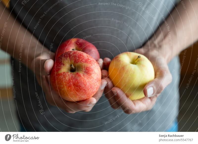 Ein Mann hält drei Äpfel in den Händen Apfel halten Nahaufnahme Bioprodukte rot Gesunde Ernährung Diät lecker saftig süß vitaminreich frisch Frucht