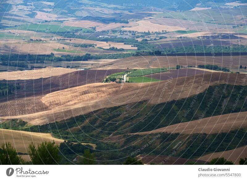 Ländliche Landschaft in der Toskana bei Pienza Europa Italien Montefollonico Siena Ackerbau Farbe Tag Bauernhof Feld Blume Hügel Haus Natur Fotografie ländlich