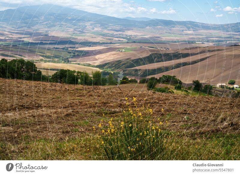 Ländliche Landschaft in der Toskana bei Pienza Europa Italien Montefollonico Siena Ackerbau Farbe Tag Bauernhof Feld Blume Hügel Haus Natur Fotografie ländlich