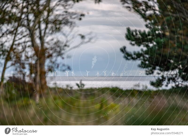 Windparkanlagen an der Nordseeküste Küste Natur Meer Landschaft Wolken Sylt Wattenmeer Nationalpark Nationalpark Wattenmeer Naturschutzgebiet Schleswig Holstein