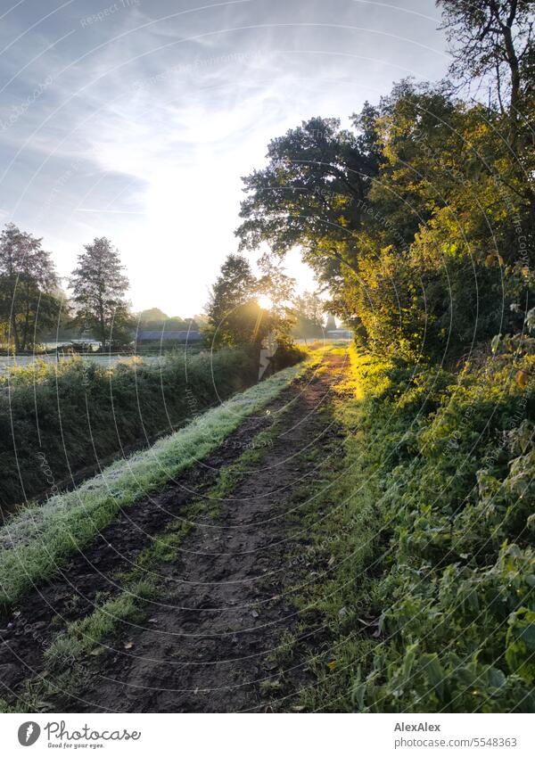Sonnenaufgang/ Morgenstimmung im Frühherbst, ein Feldweg zu eingezäunten Weiden mit Entwässerungsgraben Bäumen, Häusern und eine Windmühle früh morgens Stimmung