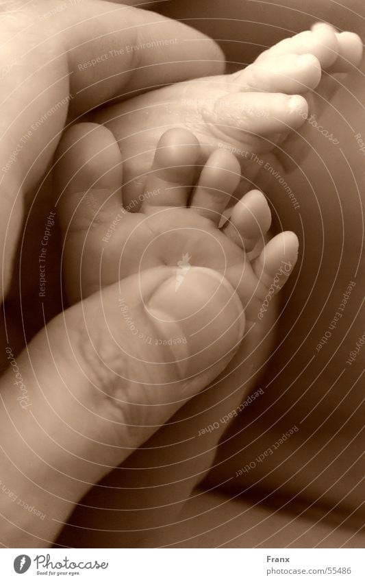 kleine Schritte Baby Geburt Geborgenheit Kind Hand Finger Zehen Fuß Mann Barfuß