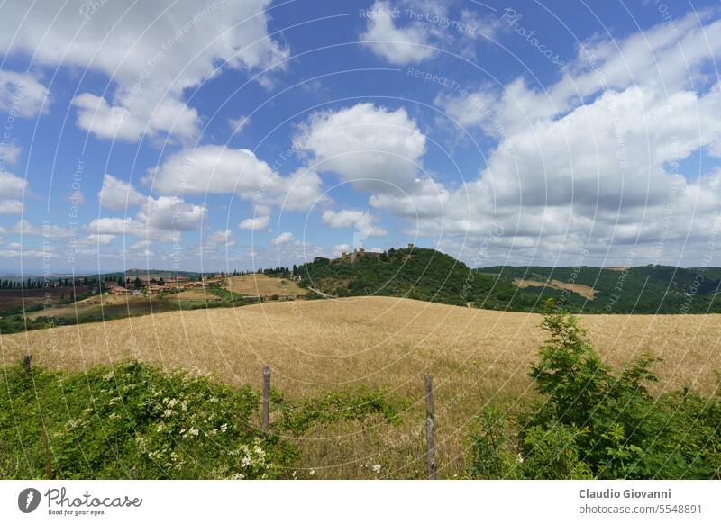 Ländliche Landschaft in der Toskana bei Pienza Europa Italien Monticchiello Siena Ackerbau Farbe Tag Bauernhof Feld Blume Hügel Haus Natur Fotografie ländlich