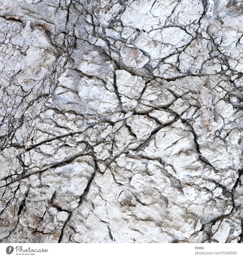 Lebenslinien .163 Lehm Linien Risse Muster Strukturen & Formen grau hart glitschig Vogelperspektive Natur Detailaufnahme Streifen abstrakt graphisch